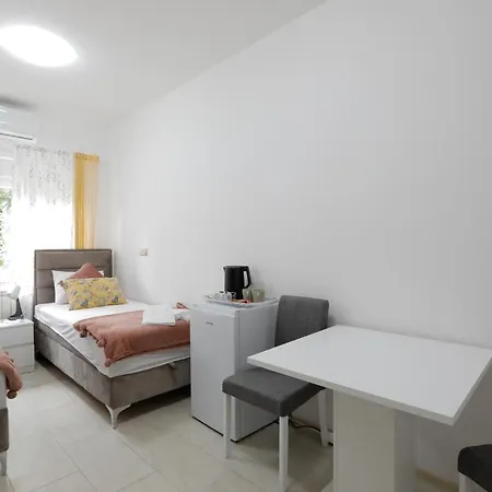 Apartment Aviator & Nikola Tesla Airport Belgrade *