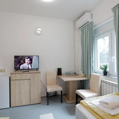 Aviator & Nikola Tesla Airport Belgrade Apartment Surcin